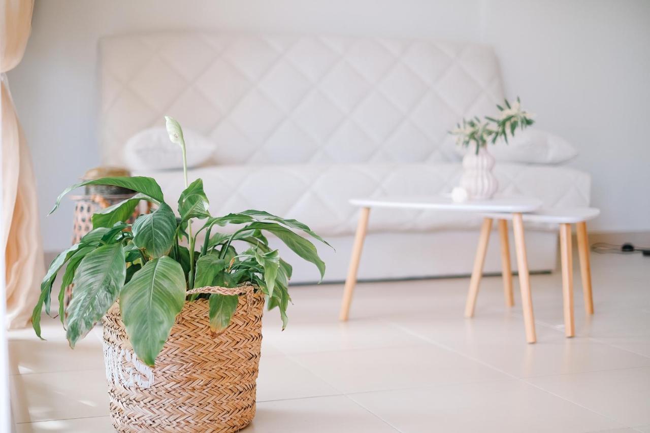 Oasis Garden House Διαμέρισμα Nea Iraklitsa Εξωτερικό φωτογραφία